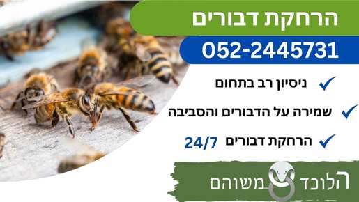 הרחקת דבורים מקצועית
