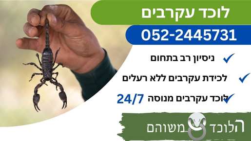 לוכד עקרבים מנוסה